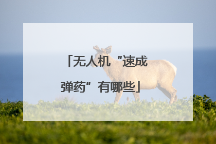 无人机“速成弹药”有哪些