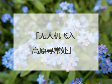无人机飞入高原寻常处