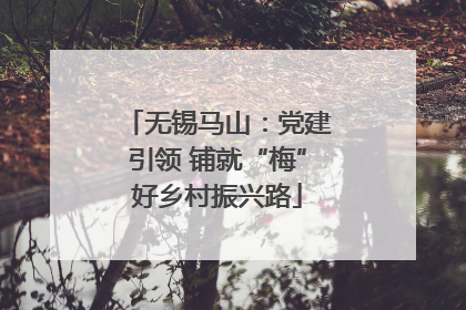 无锡马山：党建引领 铺就“梅”好乡村振兴路