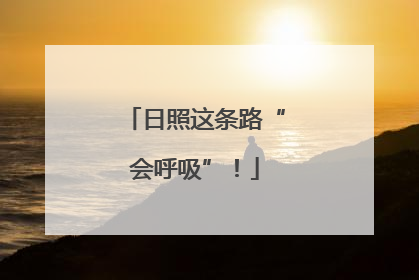 日照这条路“会呼吸”！