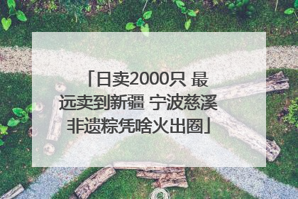 日卖2000只 最远卖到新疆 宁波慈溪非遗粽凭啥火出圈
