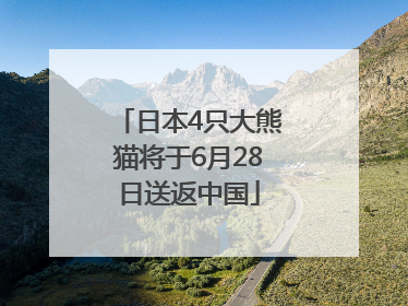 日本4只大熊猫将于6月28日送返中国