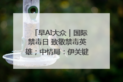 早AI大众｜国际禁毒日 致敬禁毒英雄；中情局：伊关键核设施被摧毁