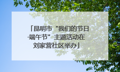 昆明市“我们的节日·端午节”主题活动在刘家营社区举办