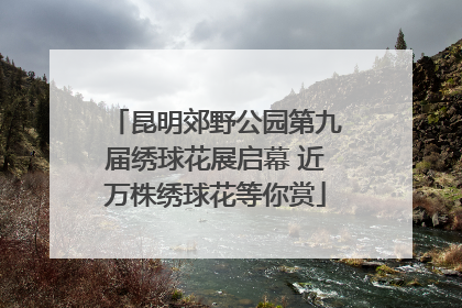 昆明郊野公园第九届绣球花展启幕 近万株绣球花等你赏