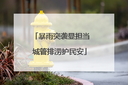 暴雨突袭显担当 城管排涝护民安
