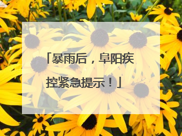 暴雨后，阜阳疾控紧急提示！