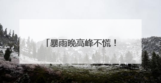 暴雨晚高峰不慌！武汉地铁开启 “暴走护犊子” 模式