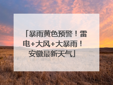 暴雨黄色预警！雷电+大风+大暴雨！安徽最新天气