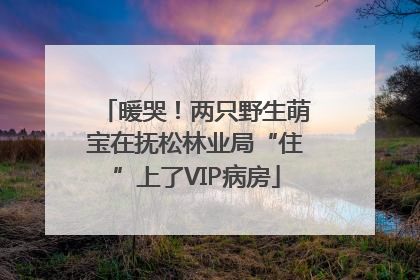 暖哭！两只野生萌宝在抚松林业局“住”上了VIP病房