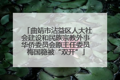 曲靖市沾益区人大社会建设和民族宗教外事华侨委员会原主任委员梅国稳被“双开”