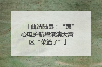 曲靖陆良：“蔬”心电护航粤港澳大湾区“菜篮子”