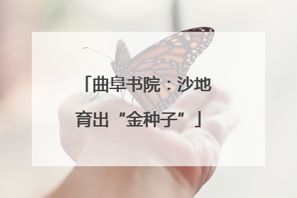 曲阜书院：沙地育出“金种子”