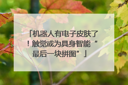机器人有电子皮肤了！触觉或为具身智能“最后一块拼图”