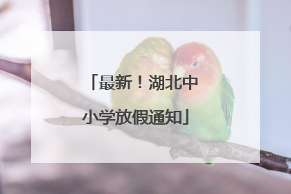 最新！湖北中小学放假通知