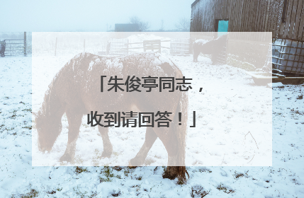 朱俊亭同志，收到请回答！