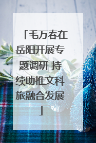 毛万春在岳阳开展专题调研 持续助推文科旅融合发展