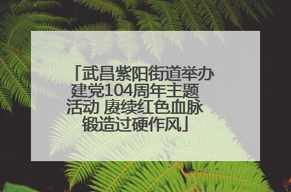 武昌紫阳街道举办建党104周年主题活动 赓续红色血脉锻造过硬作风