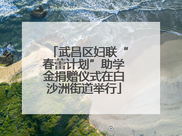 武昌区妇联“春蕾计划”助学金捐赠仪式在白沙洲街道举行
