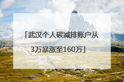武汉个人碳减排账户从3万暴涨至160万