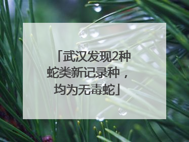 武汉发现2种蛇类新记录种，均为无毒蛇