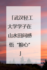 武汉轻工大学学子在山水田间感悟“粮心”