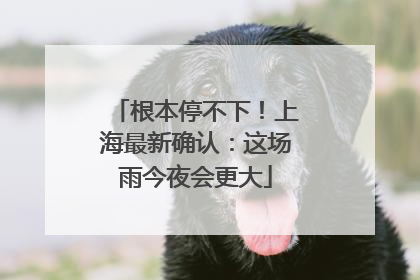 根本停不下！上海最新确认：这场雨今夜会更大