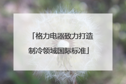 格力电器致力打造制冷领域国际标准