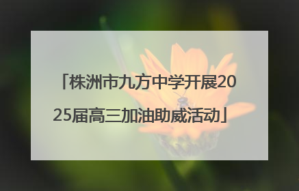 株洲市九方中学开展2025届高三加油助威活动