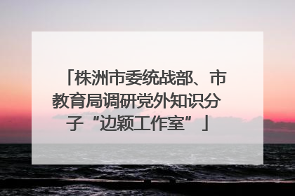株洲市委统战部、市教育局调研党外知识分子“边颖工作室”