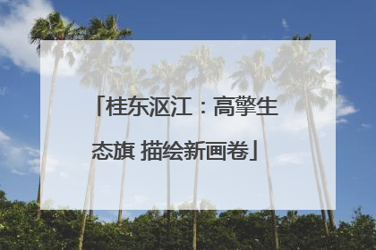 桂东沤江：高擎生态旗 描绘新画卷