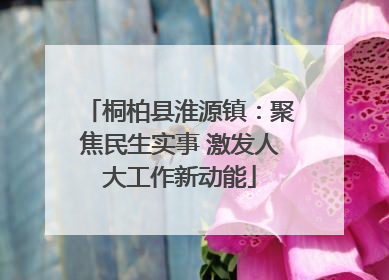 桐柏县淮源镇：聚焦民生实事 激发人大工作新动能