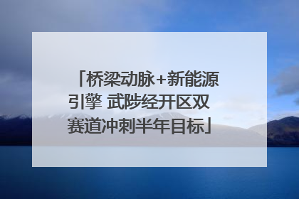 桥梁动脉+新能源引擎 武陟经开区双赛道冲刺半年目标