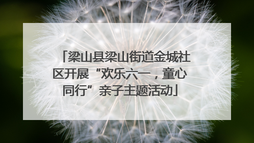 梁山县梁山街道金城社区开展“欢乐六一，童心同行”亲子主题活动