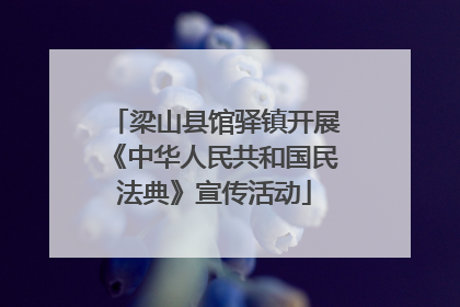梁山县馆驿镇开展《中华人民共和国民法典》宣传活动