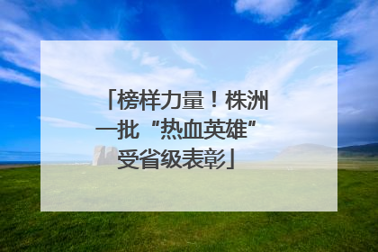 榜样力量！株洲一批“热血英雄”受省级表彰