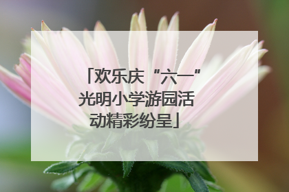 欢乐庆“六一” 光明小学游园活动精彩纷呈