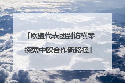 欧盟代表团到访横琴 探索中欧合作新路径