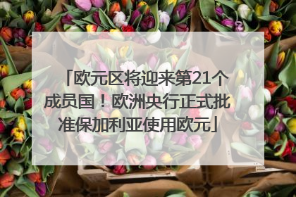 欧元区将迎来第21个成员国！欧洲央行正式批准保加利亚使用欧元
