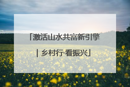 激活山水共富新引擎｜乡村行·看振兴