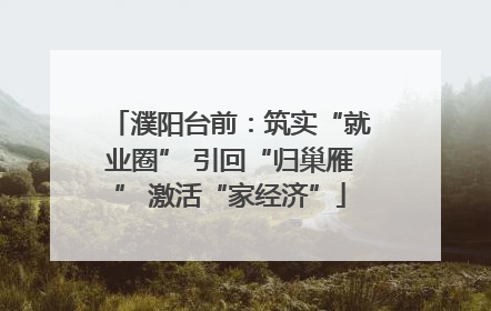 濮阳台前：筑实“就业圈” 引回“归巢雁” 激活“家经济”