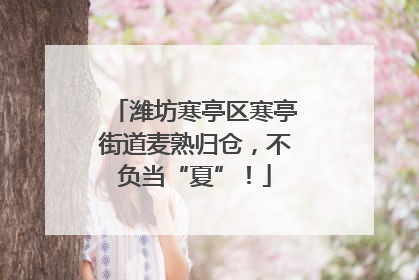 潍坊寒亭区寒亭街道麦熟归仓，不负当“夏”！
