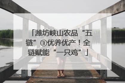 潍坊峡山农品“五链”③优养优产！全链赋能“一只鸡”