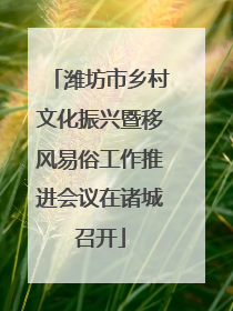 潍坊市乡村文化振兴暨移风易俗工作推进会议在诸城召开