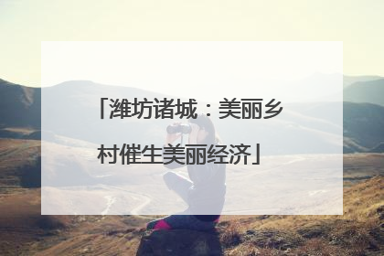 潍坊诸城：美丽乡村催生美丽经济