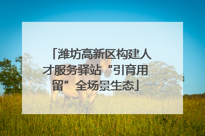 潍坊高新区构建人才服务驿站“引育用留”全场景生态