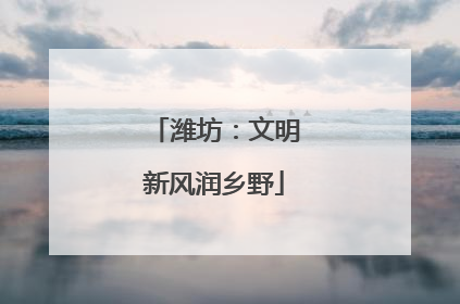 潍坊：文明新风润乡野