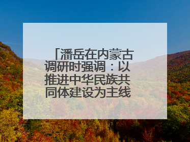 潘岳在内蒙古调研时强调：以推进中华民族共同体建设为主线推动边疆民族地区高质量发展
