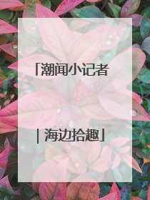 潮闻小记者｜海边拾趣