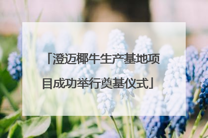澄迈椰牛生产基地项目成功举行奠基仪式